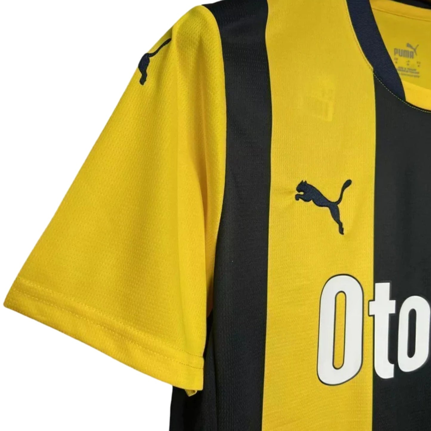 Fenerbahce Principal 24/25