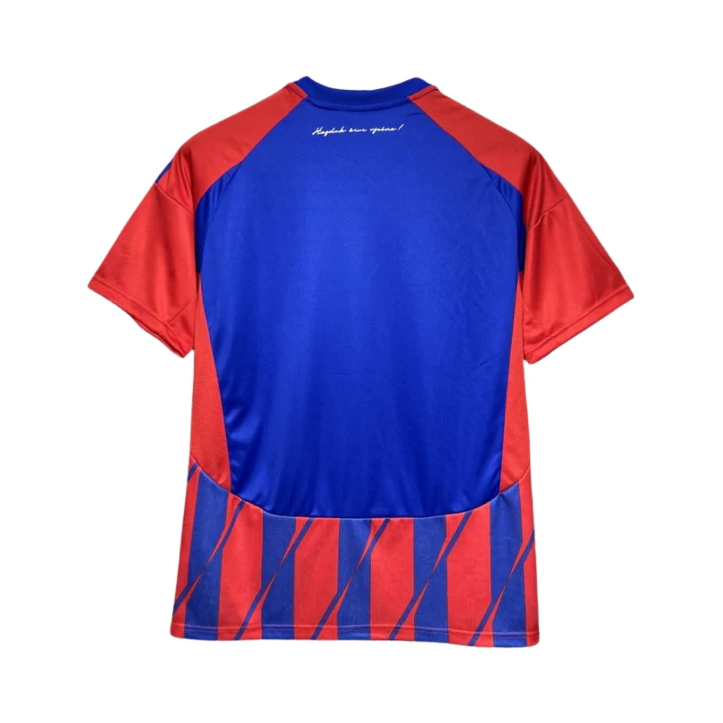 Hajduk Split Alternativa 24/25