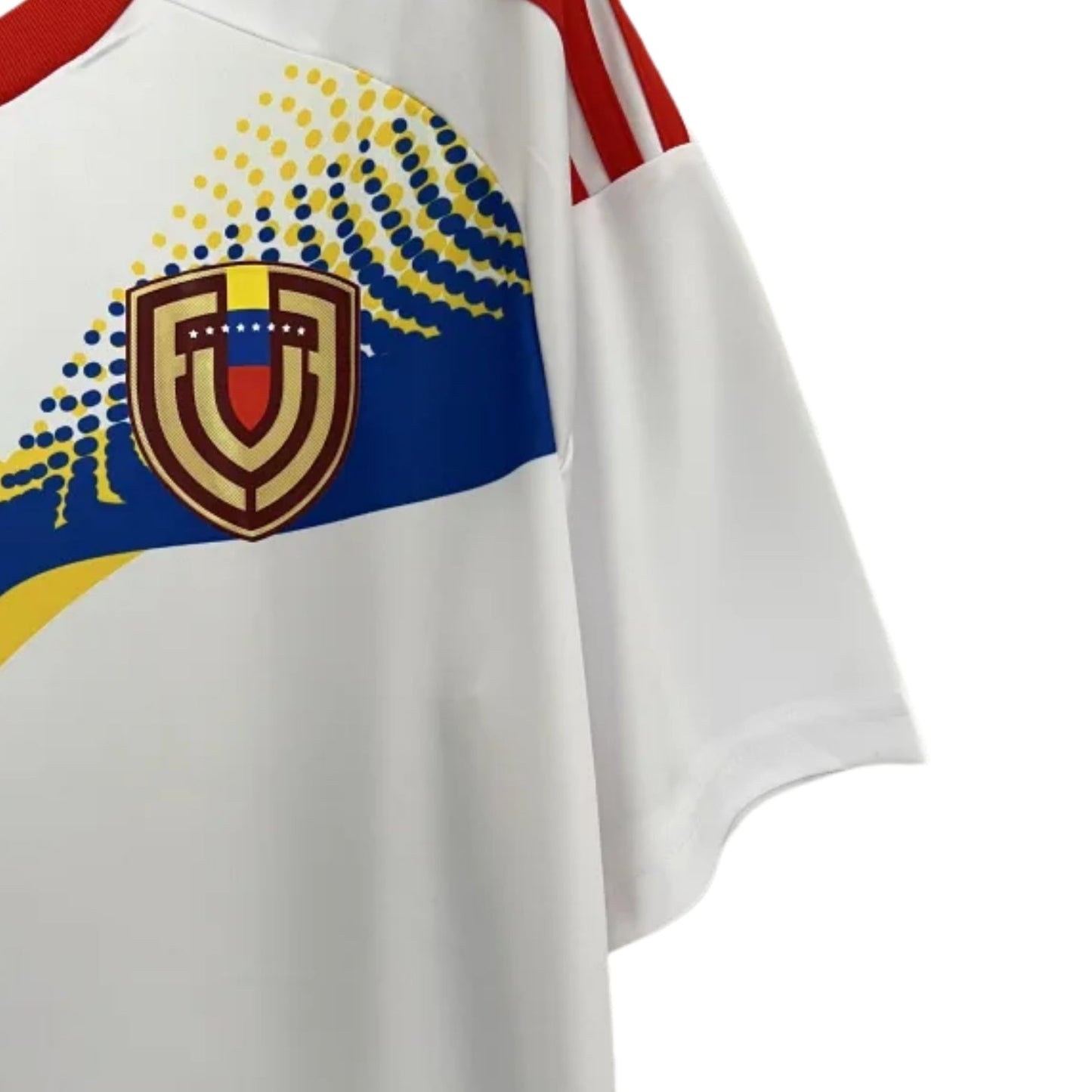Venezuela Alternativa 24/25 - Copa América 2024