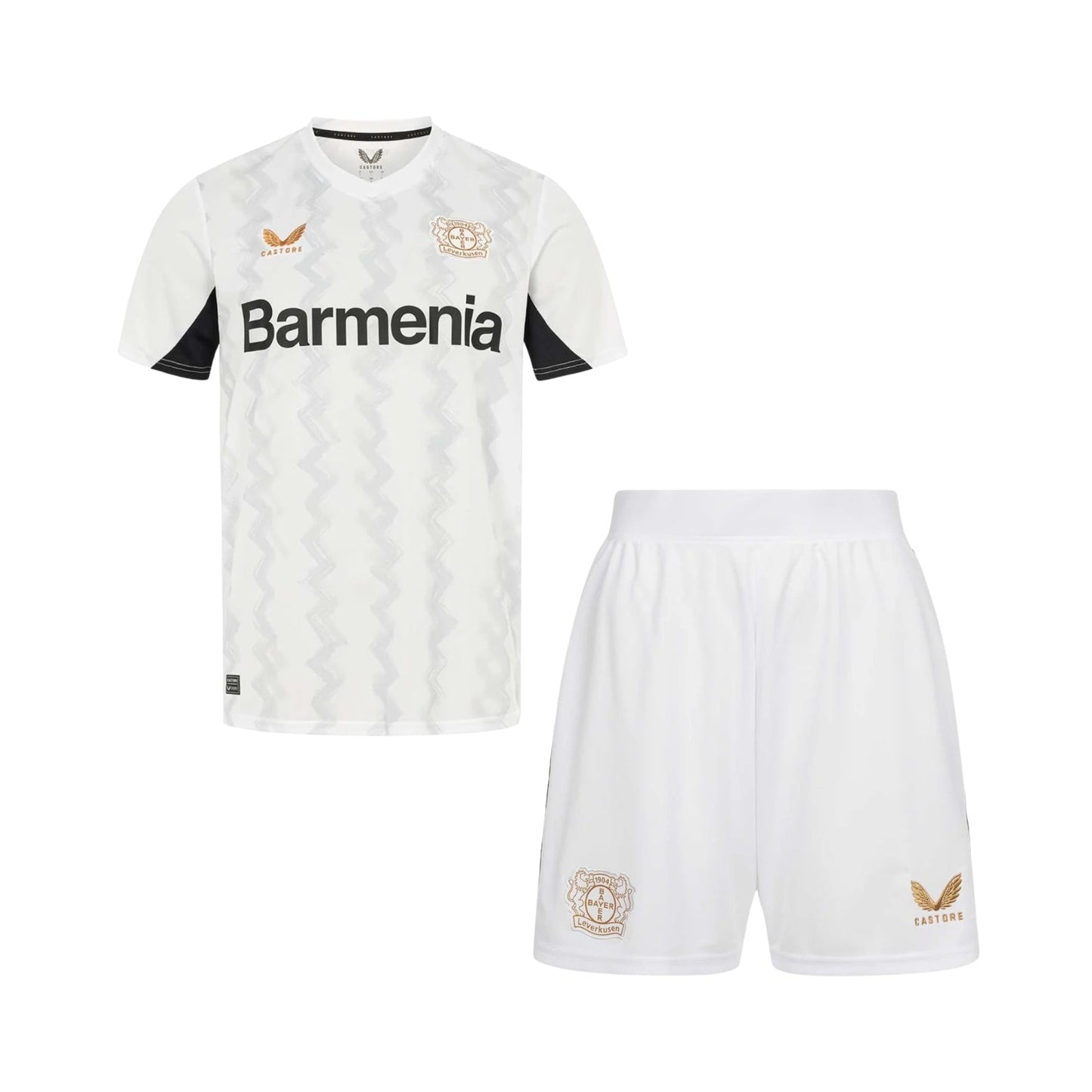 Kit de Criança - Bayer 04 Leverkusen Alternativa 24/25