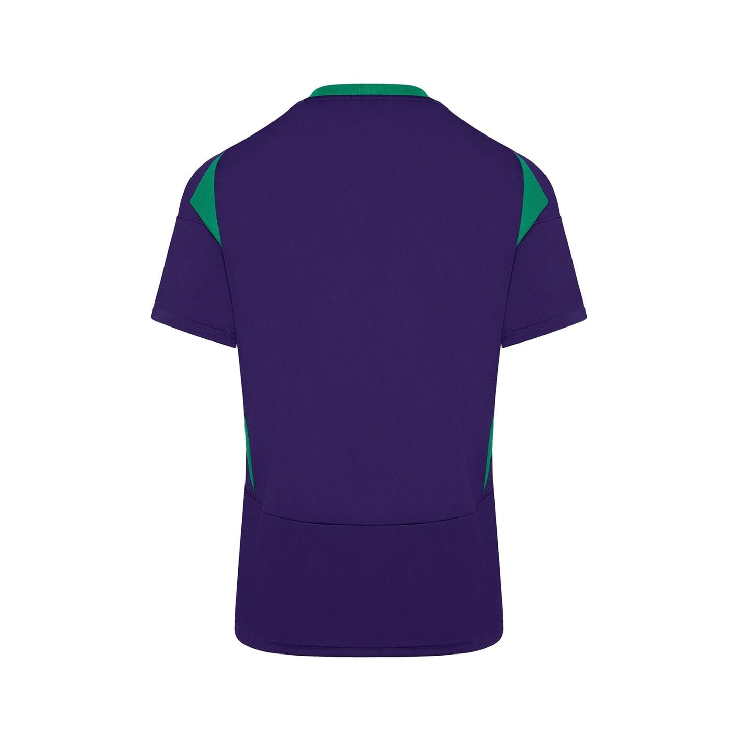 Panathinaikos Terceiro 24/25