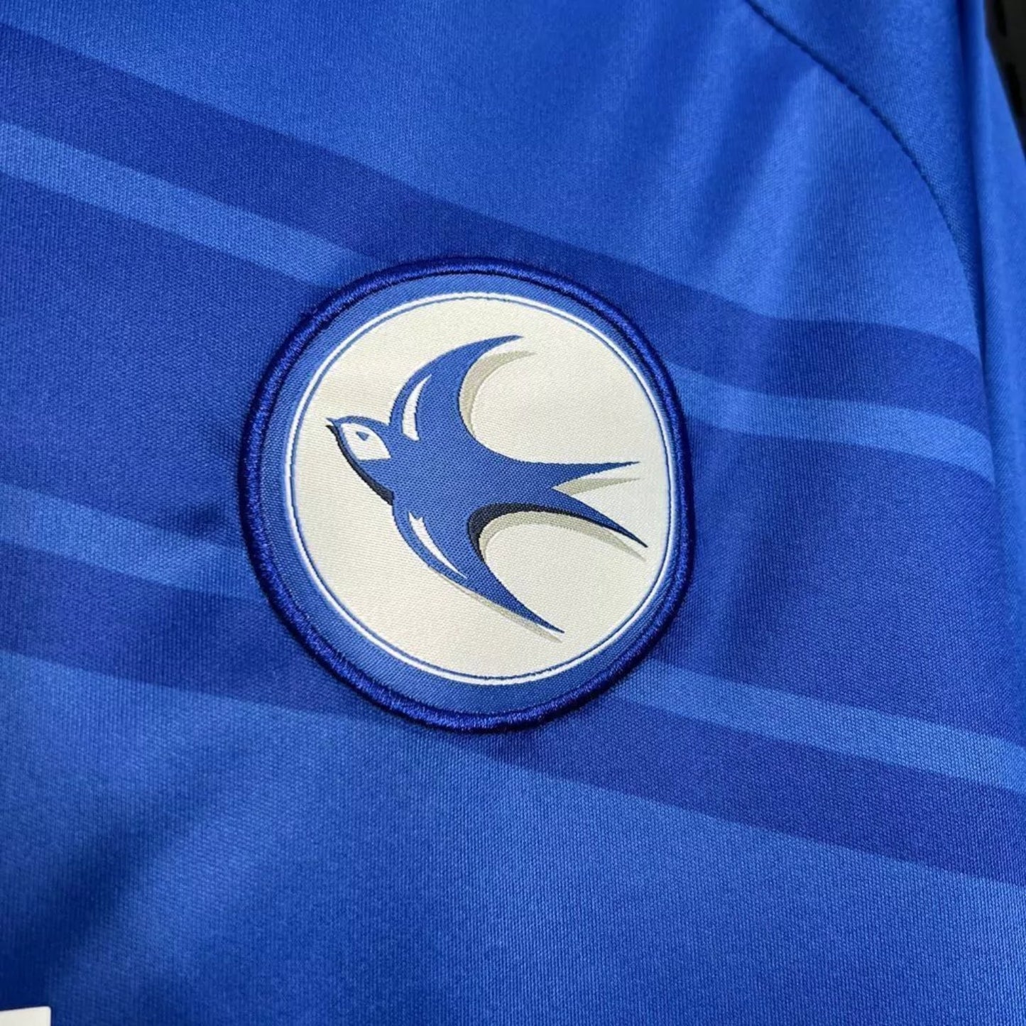 Cardiff City F.C. Principal 24/25