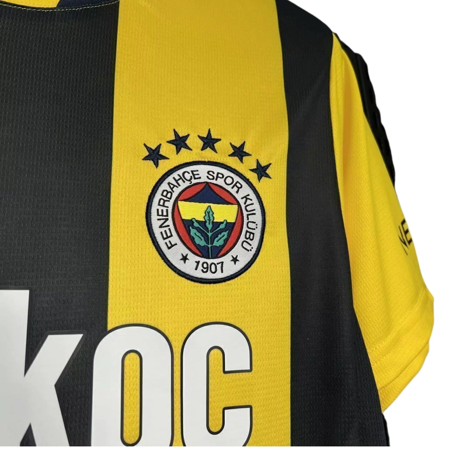 Fenerbahce Principal 24/25