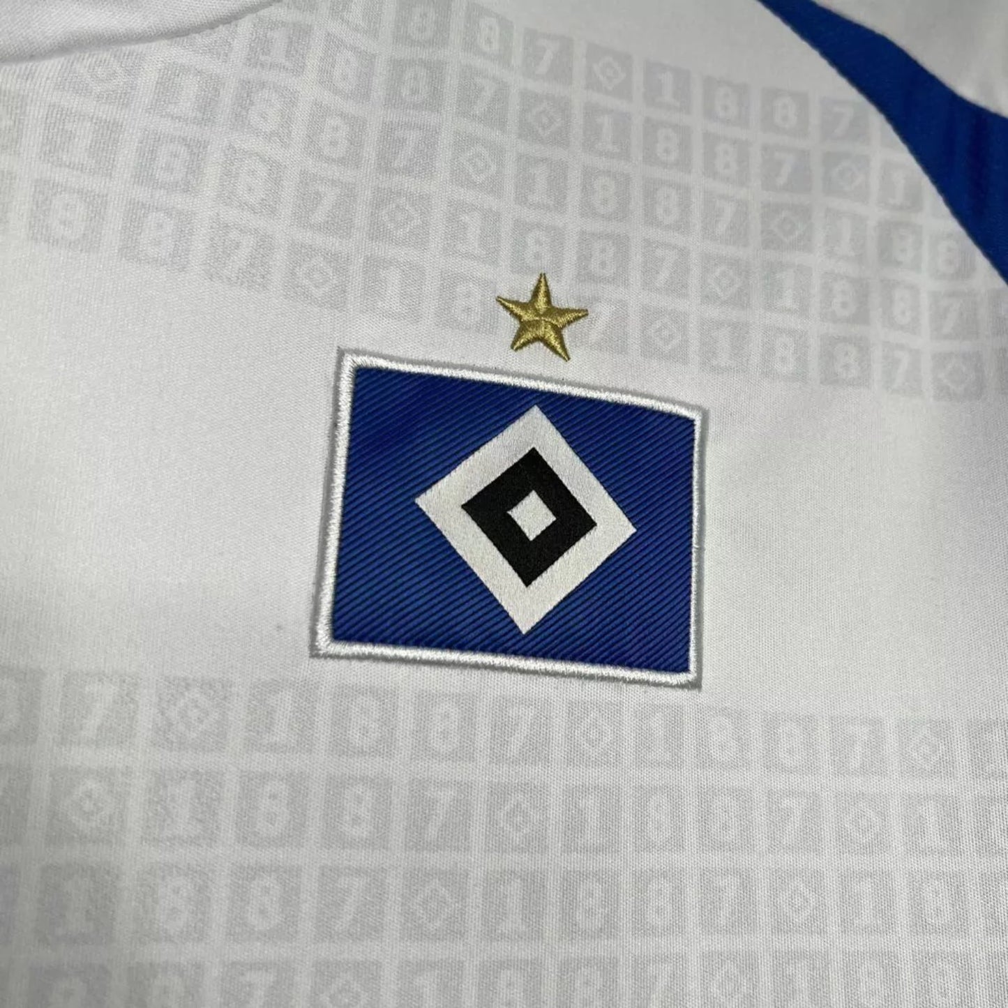 Hamburgo SV Principal 24/25