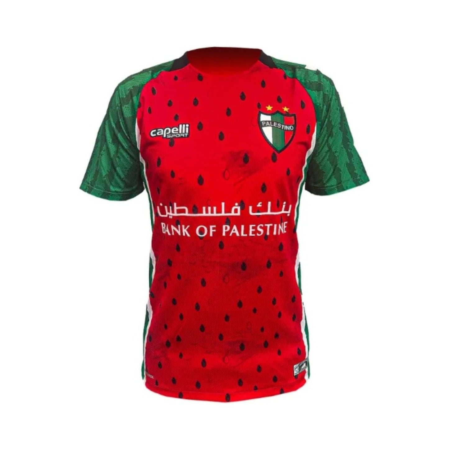 CD Palestino Terceiro 25/26