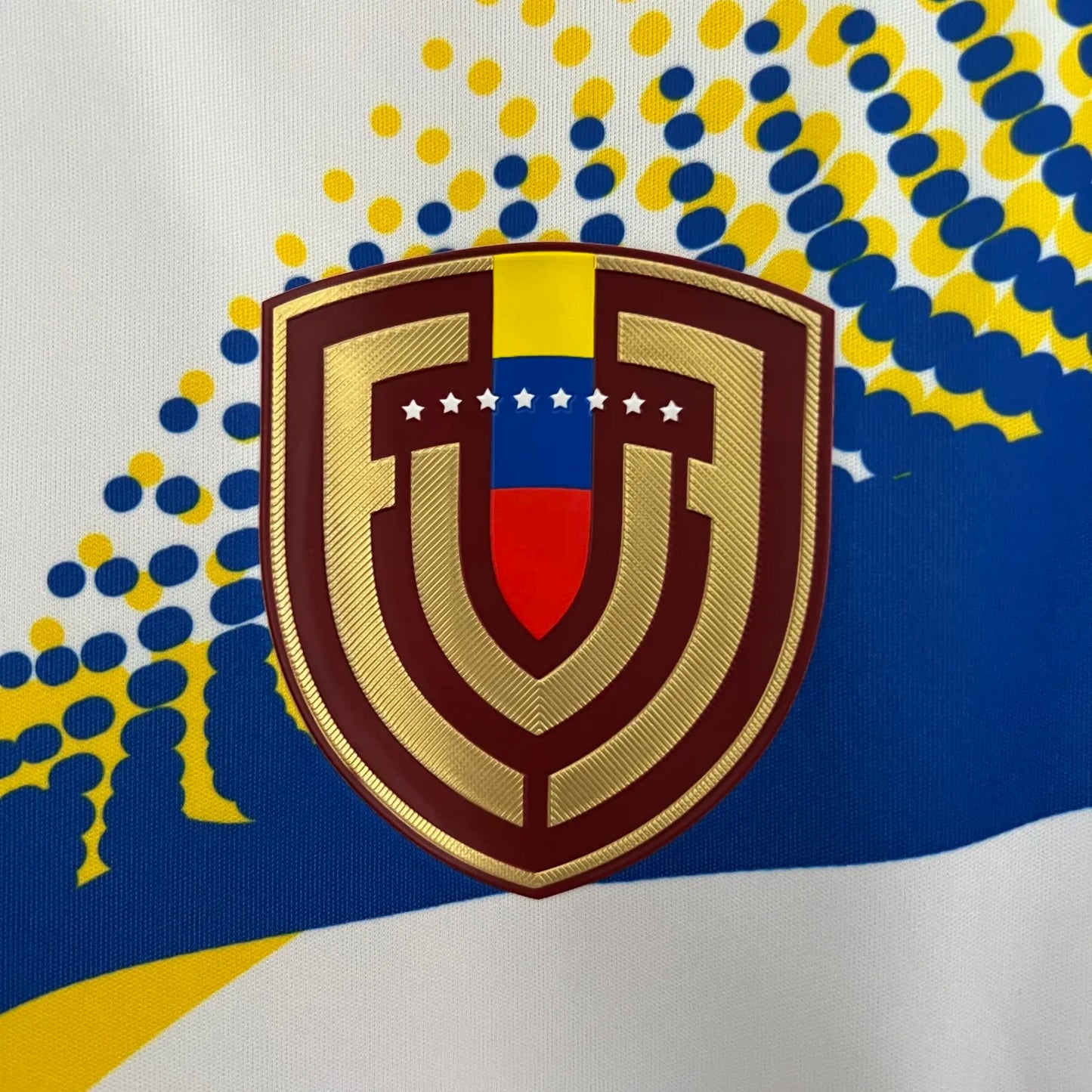 Venezuela Alternativa 24/25 - Copa América 2024