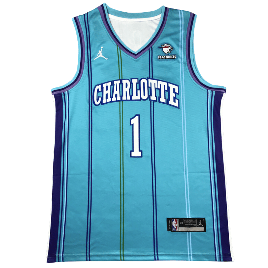 Regata Charlotte Hornets Classic Edition 2023/24