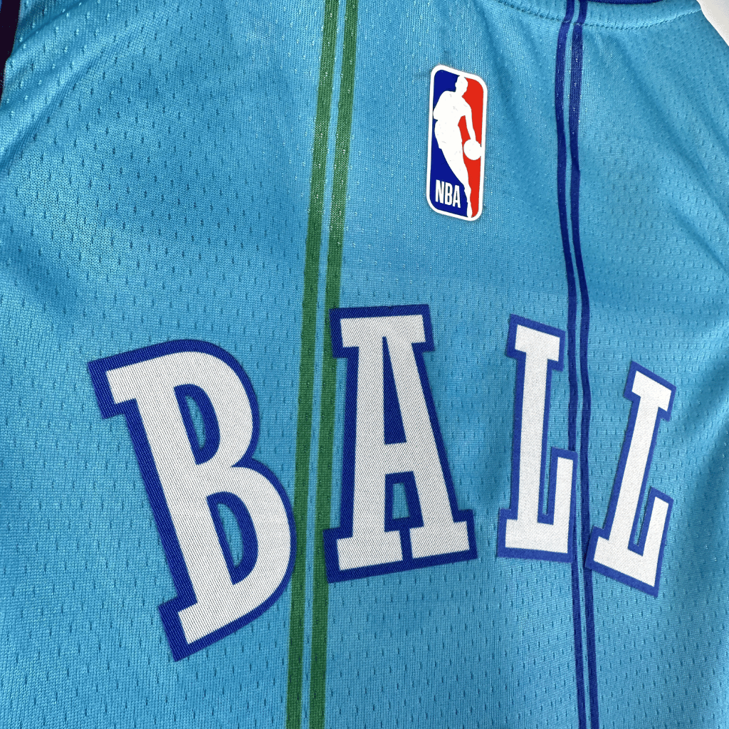 Regata Charlotte Hornets Classic Edition 2023/24