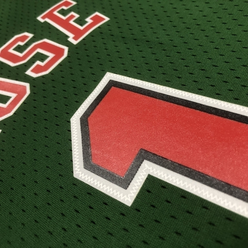 Regata Chicago Bulls Go Gren 2008/09