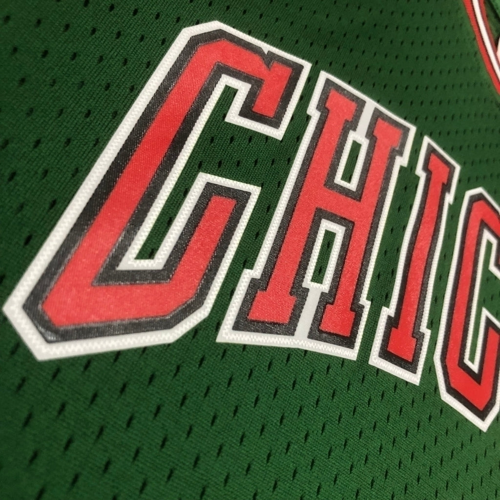 Regata Chicago Bulls Go Gren 2008/09