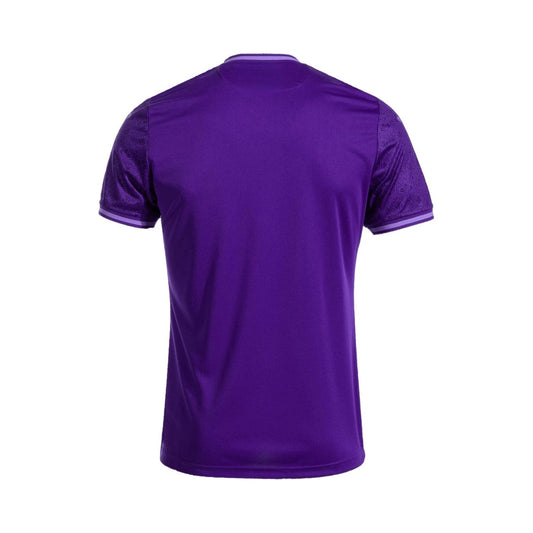 Anderlecht Principal 24/25