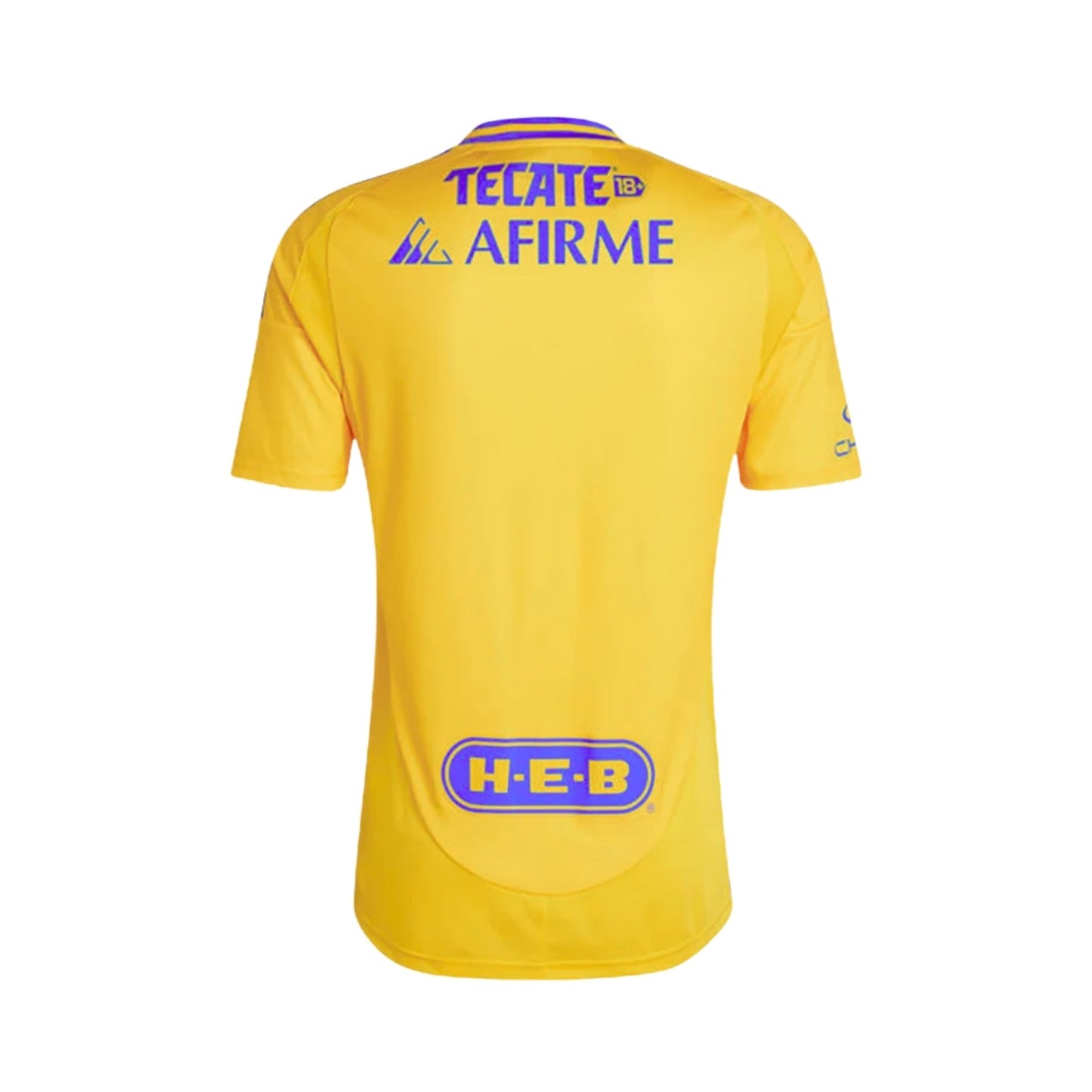 Tigres Principal 24/25
