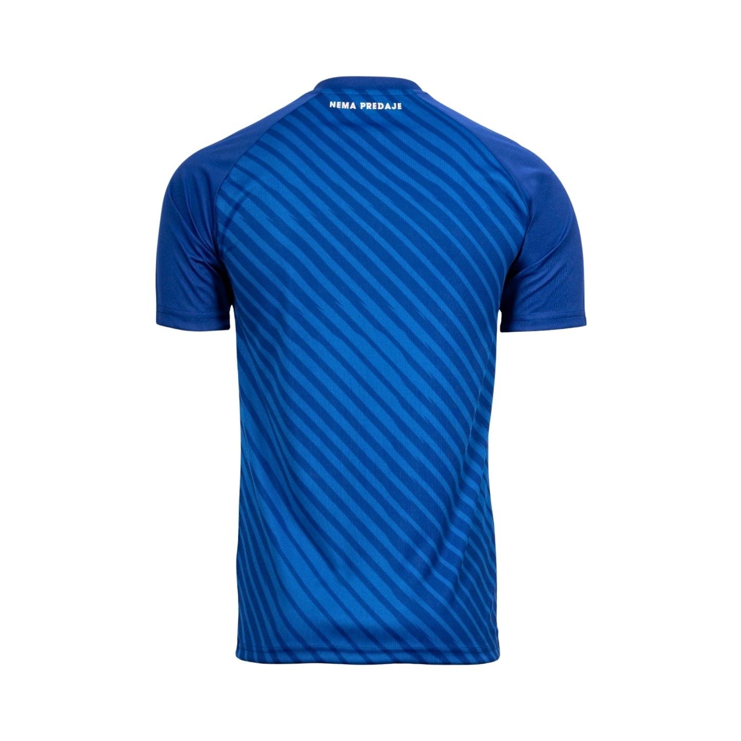 Dinamo Zagreb Principal 24/25