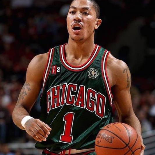 Regata Chicago Bulls Go Gren 2008/09