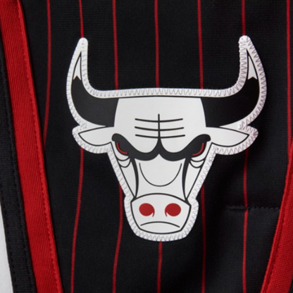 Regata Chicago Bulls City Edition 2021/22